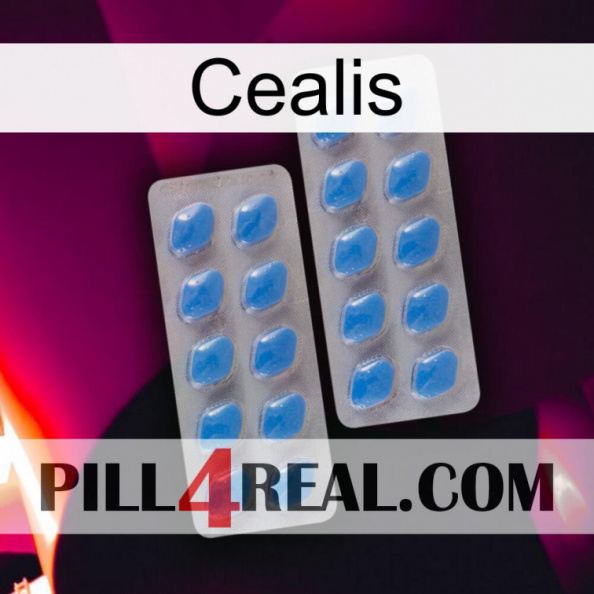 Cealis 23.jpg